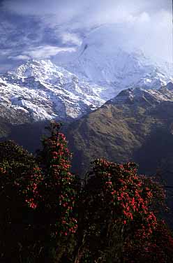 Tadapani, Nepal, Jacek Piwowarczyk, 2002