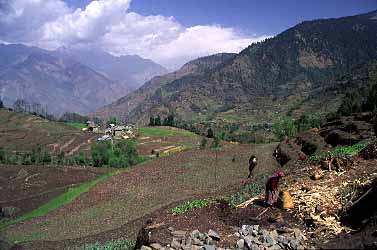 Chitre,  Nepal, Jacek Piwowarczyk, 2002