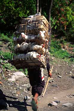 Kali Gandaki Valley,  Nepal, Jacek Piwowarczyk, 2002