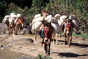 Kali Gandaki Valley,  Nepal, Jacek Piwowarczyk, 2002