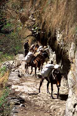 Kali Gandaki Valley,  Nepal, Jacek Piwowarczyk, 2002