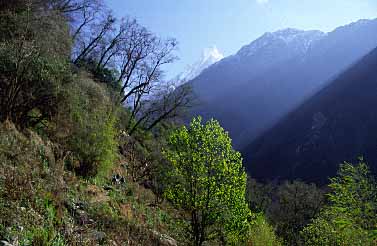 Sinuwa, Nepal, jacek Piwowarczyk, 2002