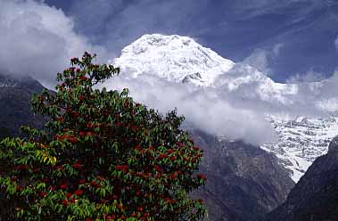 Chomrong, Nepal, Jacek Piwowarczyk, 2002