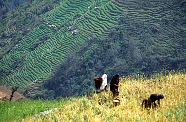 Kimrong Khola, Nepal, Jacek Piwowarczyk, 2002