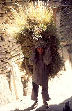 Marpha, Nepal, 1995