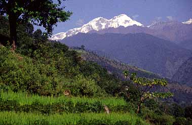 Marsyangdi Valley, Nepal, 1995