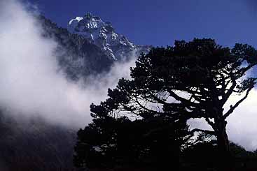 Gunsa Valley, Nepal, Jacek Piwowarczyk, 2000