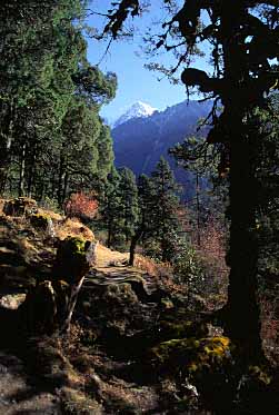 Gunsa Valley, Nepal, Jacek Piwowarczyk, 2000