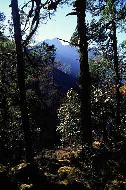 Gunsa Valley, Nepal, Jacek Piwowarczyk, 2000