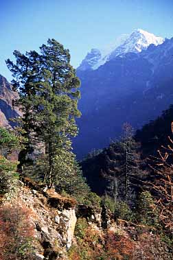 Gunsa Valley, Nepal, Jacek Piwowarczyk, 2000