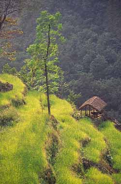 Tamur Valley, Nepal, Jacek Piwowarczyk, 2000