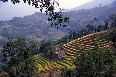 Over Dobhan, Nepal, Jacek Piwowarczyk, 2000