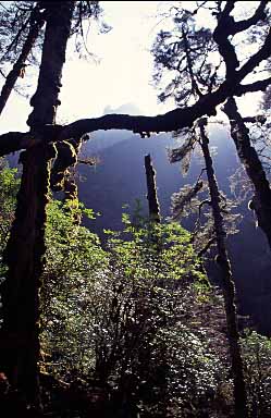 Simbua Khola Valley, Nepal, Jacek Piwowarczyk, 2000