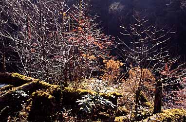 Simbua Khola Valley, Nepal, Jacek Piwowarczyk, 2000