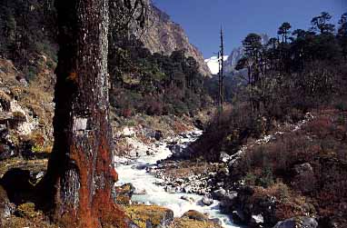 Simbua Khola Valley, Nepal, Jacek Piwowarczyk, 2000