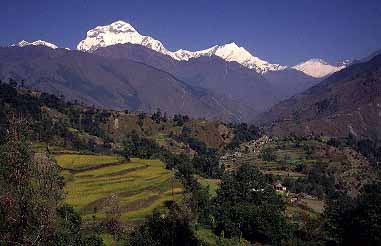 Sikha, Nepal, 1995