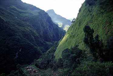 Mayangdi Valley, Nepal, Jacek Piwowarczyk, 1996