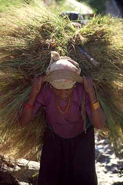 ali Gandaki Valley, Nepal, Jacek Piwowarczyk, 1996