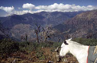 Larubina La, Nepal, Jacek Piwowarczyk, 1997