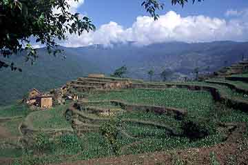 Mulkharka, Nepal, Jacek Piwowarczyk, 2001