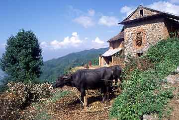 Mulkharka, Nepal, Jacek Piwowarczyk, 2001