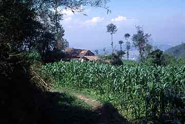 Mulkharka, Nepal, Jacek Piwowarczyk, 2001