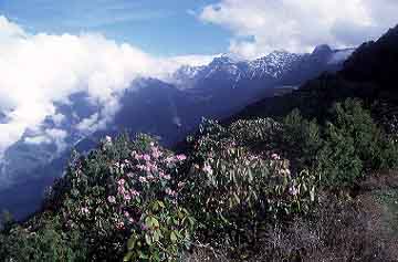 Therapati, Nepal, Jacek Piwowarczyk, 2001