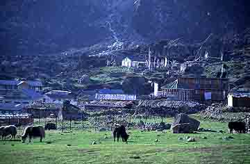 Kyanjin, Nepal, Jacek Piwowarczyk, 2001