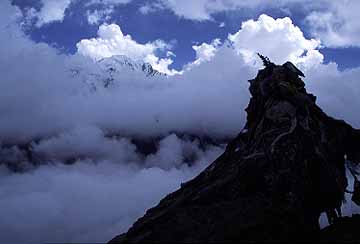 Kyanjin Peak, Nepal, Jacek Piwowarczyk, 2001