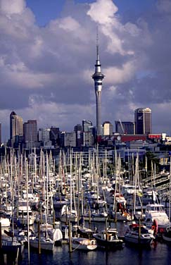 Auckland, New Zealand, Jacek Piwowarczyk, 2002