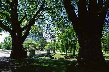 Christchurch, New Zealand, Jacek Piwowarczyk, 2002