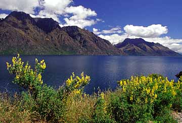 Lake Waikatipu, New Zealand, Jacek Piwowarczyk, 2002