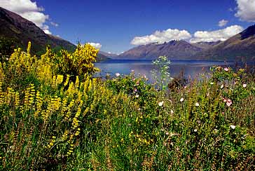 Lake Waikatipu, New Zealand, Jacek Piwowarczyk, 2002