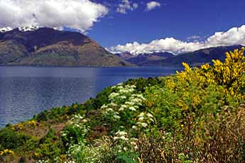 Lake Waikatipu, New Zealand, Jacek Piwowarczyk, 2002