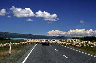 Mt. Cook Road, New Zealand, Jacek Piwowarczyk, 2002