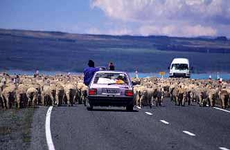 Mt. Cook Road, New Zealand, Jacek Piwowarczyk, 2002