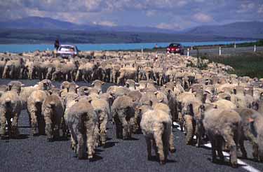 Mt. Cook Road, New Zealand, Jacek Piwowarczyk, 2002