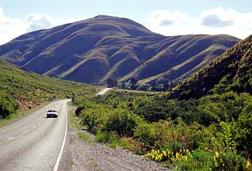 Lindis Pass, New Zealand, Jacek Piwowarczyk, 2002