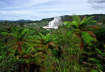 Rotorua, New Zealand, Jacek Piwowarczyk, 2002