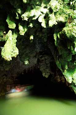 Waitomo Caves, New Zealand, Jacek Piwowarczyk, 2002