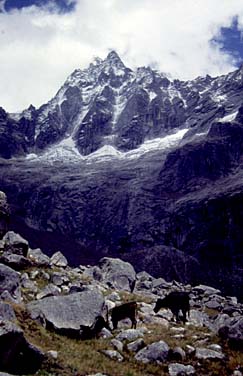 Huaripampa Valley, Cordillera B;anca, Peru, Jacek Piwowarczyk, 1998