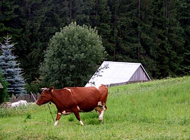 Istebna, Beskid Slaski, Poland, Jacek Piwowarczyk, 2008