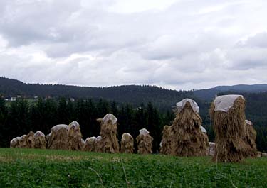 Istebna, Beskid Slaski, Poland, Jacek Piwowarczyk, 2008