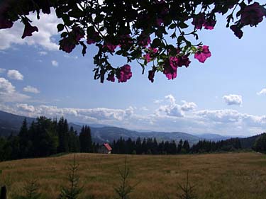 Istebna - Stozek Trail, Beskid Slaski, Poland, Jacek Piwowarczyk, 2008