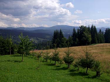 Istebna - Stozek Trail, Beskid Slaski, Poland, Jacek Piwowarczyk, 2008