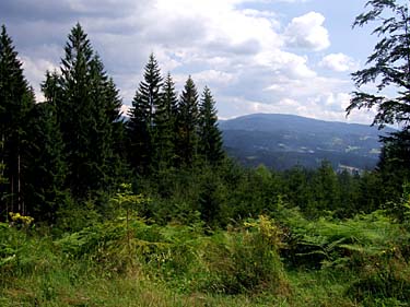 Istebna - Stozek Trail, Beskid Slaski, Poland, Jacek Piwowarczyk, 2008