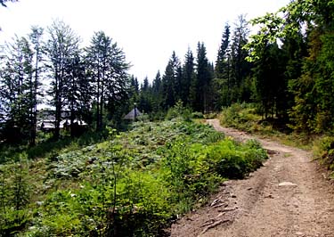 Istebna - Stozek Trail, Beskid Slaski, Poland, Jacek Piwowarczyk, 2008