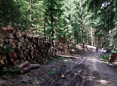 Istebna - Stozek Trail, Beskid Slaski, Poland, Jacek Piwowarczyk, 2008