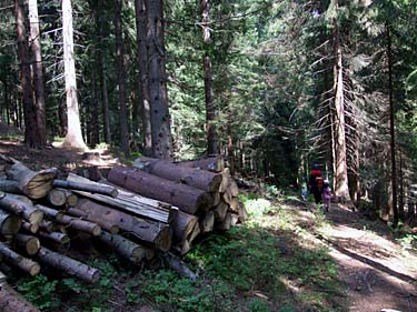 Istebna - Stozek Trail, Beskid Slaski, Poland, Jacek Piwowarczyk, 2008