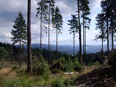 Istebna - Stozek Trail, Beskid Slaski, Poland, Jacek Piwowarczyk, 2008